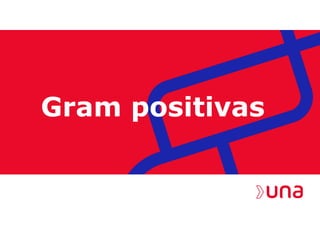Gram positivas
 