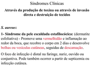 Síndromes Clínicas
Através da produção de toxina ou através de invasão
direta e destruição de tecidos
S. aureus:
1- Síndrome da pele escaldada estafilocócica: (dermatite
esfoliativa) - Promove uma vermelhidão e inflamação ao
redor da boca, que recobre o corpo em 2 dias e desenvolve
bolhas ou vesículas cutâneas, seguidas de descamação.
O foco de infecção é distal na faringe, nariz, ouvido ou
conjuntiva. Pode também ocorrer a partir de septicemia ou
infecção cutânea.
 