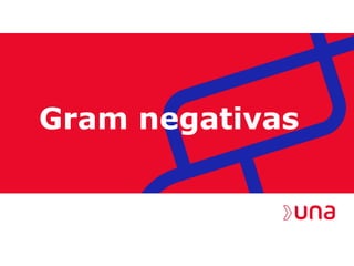 Gram negativas
 