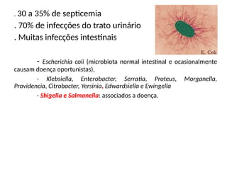 . 30 a 35% de septicemia
. 70% de infecções do trato urinário
. Muitas infecções intestinais
- Escherichia coli (microbiota normal intestinal e ocasionalmente
causam doença oportunistas),
- Klebsiella, Enterobacter, Serratia, Proteus, Morganella,
Providencia, Citrobacter, Yersinia, Edwardsiella e Ewingella
- Shigella e Salmonella: associados a doença.
 
