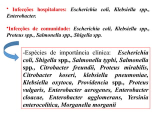 • Infecções hospitalares: Escherichia coli, Klebsiella spp.,
Enterobacter.
•Infecções de comunidade: Escherichia coli, Klebsiella spp.,
Proteus spp., Salmonella spp., Shigella spp.
-Espécies de importância clínica: Escherichia
coli, Shigella spp., Salmonella typhi, Salmonella
spp., Citrobacter freundii, Proteus mirabilis,
Citrobacter koseri, klebsiella pneumoniae,
Klebsiella oxytoca, Providencia spp., Proteus
vulgaris, Enterobacter aerogenes, Enterobacter
cloacae, Enterobacter agglomerans, Yersinia
enterocolitica, Morganella morganii
 