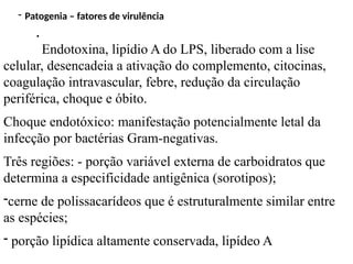 - Patogenia – fatores de virulência
.
Endotoxina, lipídio A do LPS, liberado com a lise
celular, desencadeia a ativação do complemento, citocinas,
coagulação intravascular, febre, redução da circulação
periférica, choque e óbito.
Choque endotóxico: manifestação potencialmente letal da
infecção por bactérias Gram-negativas.
Três regiões: - porção variável externa de carboidratos que
determina a especificidade antigênica (sorotipos);
-cerne de polissacarídeos que é estruturalmente similar entre
as espécies;
- porção lipídica altamente conservada, lipídeo A
 