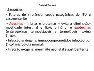 Escherichia coli
- 5 espécies
- Fatores de virulência: cepas patogênicas de ITU e
gastroenterite
- Adesinas (fímbrias e proteínas – evita a eliminação-
motilidade intestinal e fluxo urinário) e exotoxinas
(enterotoxinas termoestáveis e termolábeis, toxina
Shiga).
- Infecção endógena: imunocomprometidos infecção por
E. coli microbiota normal.
- Infecção exógena: meningite neonatal e gastroenterite
 