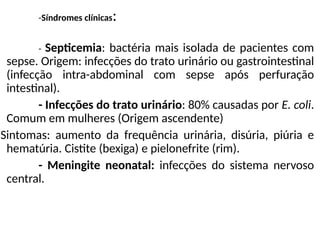 -Síndromes clínicas:
- Septicemia: bactéria mais isolada de pacientes com
sepse. Origem: infecções do trato urinário ou gastrointestinal
(infecção intra-abdominal com sepse após perfuração
intestinal).
- Infecções do trato urinário: 80% causadas por E. coli.
Comum em mulheres (Origem ascendente)
Sintomas: aumento da frequência urinária, disúria, piúria e
hematúria. Cistite (bexiga) e pielonefrite (rim).
- Meningite neonatal: infecções do sistema nervoso
central.
 