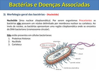 3) Morfologia geral das bactérias - (Nucleóide)
Nucleóide (área nuclear citoplasmática). Por serem organismos Procariontes as
bactérias não possuem um núcleo delimitado por membrana nuclear ou carioteca. Ao
invés de núcleo, as bactérias apresentam uma região citoplasmática onde se encontra
do DNA bacteriano (cromossomo circular).
Não estão presentes em células bacterianas:
1. Proteínas histonas
2. Nucléolo
3. Carioteca
Bactérias e Doenças Associadas
Bactérias e Doenças Associadas
 