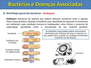 3) Morfologia geral das bactérias - (Endósporo)
Endósporo Estruturas de latência que exibem altíssima resistência tanto a agentes
físicos como químicos. Quando as bactérias com capacidade de esporular se encontram
em ambientes cujas condições tornam-se inadequadas, estas iniciam o processo de
esporulação, garantindo assim a manutenção de seu material genético.
Bactérias e Doenças Associadas
Bactérias e Doenças Associadas
Nucleóide
Endósporo em
formação
Conteúdo celular
em degeneração
Endósporo maduro
As bactérias esporuladas podem permanecer
dormentes por milhares de anos e retornar ao
seu estado ativo quando as condições ambientais
tornarem-se favoráveis.
Endósporo
 