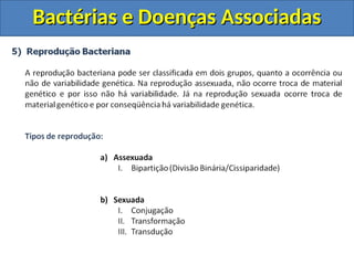 Bactérias e Doenças Associadas
Bactérias e Doenças Associadas
 