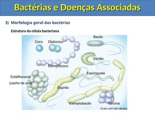 3) Morfologia geral das bactérias
Estrutura da célula bacteriana
Bactérias e Doenças Associadas
Bactérias e Doenças Associadas
Coco Diplococo
Estreptococo
Estafilococos
(cacho de uva)
Bacilo
Vibrião
Sarcina
(Cubo com oito células)
Espirilo
Estreptobacilo
Espiroqueta
 