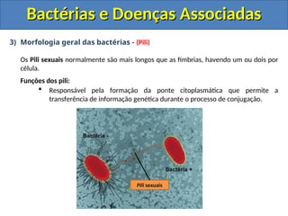 3) Morfologia geral das bactérias - (Pili)
Os Pili sexuais normalmente são mais longos que as fímbrias, havendo um ou dois por
célula.
Funções dos pili:
 Responsável pela formação da ponte citoplasmática que permite a
transferência de informação genética durante o processo de conjugação.
Bactérias e Doenças Associadas
Bactérias e Doenças Associadas
Bactéria +
Bactéria -
Pili sexuais
 