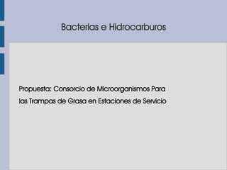Bacterias e Hidrocarburos
Propuesta: Consorcio de Microorganismos Para
las Trampas de Grasa en Estaciones de Servicio
 