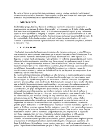 La bacteria Neisseria meningitidis que muestra esta imagen, produce meningitis bacteriana así
como otras enfermedades. Su carácter Gram negativo se debe a su incapacidad para captar un tipo
específico de colorante bacteriano denominado tinción de Gram.

   1 INTRODUCCION

Bacteria (del griego, bakteria, ‘bastón’), nombre que reciben los organismos unicelulares y
microscópicos, que carecen de núcleo diferenciado y se reproducen por división celular sencilla.
Las bacterias son muy pequeñas, entre 1 y 10 micrómetros (µm) de longitud, y muy variables en
cuanto al modo de obtener la energía y el alimento. Están en casi todos los ambientes: en el aire,
el suelo y el agua, desde el hielo hasta las fuentes termales; incluso en las grietas hidrotermales de
las profundidades de los fondos marinos pueden vivir bacterias metabolizadoras del azufre.
También se pueden encontrar en algunos alimentos o viviendo en simbiosis con plantas, animales
y otros seres vivos.

   2 CLASIFICACIÓN

 En el actual sistema de clasificación en cinco reinos, las bacterias pertenecen al reino Móneras,
cuyos miembros son organismos procariotas, que se caracterizan porque las células carecen de un
núcleo con una membrana diferenciada que lo rodee. Se conocen unas 1.600 especies. Las
bacterias se suelen clasificar siguiendo varios criterios: por su forma, en cocos (esféricas), bacilos
(forma de bastón), espiroquetas y espirilos (con forma espiral); según la estructura de la pared
celular; por el comportamiento que presentan frente a la tinción de Gram; en función de que
necesiten oxígeno para vivir o no (aerobias o anaerobias, respectivamente); según sus capacidades
metabólicas o fermentadoras; por su posibilidad de formar esporas resistentes cuando las
condiciones son adversas, y en función de la identificación serológica de los componentes de su
superficie y de sus ácidos nucleicos.
La clasificación taxonómica más utilizada divide a las bacterias en cuatro grandes grupos según
las características de la pared celular. La división Gracilicutes incluye a las bacterias con pared
celular delgada del tipo Gram negativas; las bacterias de la división Firmicutes tienen paredes
celulares gruesas del tipo Gram positivas; las de la Tenericutes carecen de pared celular y las de la
cuarta división Mendosicutes tienen paredes celulares poco comunes, formadas por materiales
distintos a los típicos peptidoglucanos bacterianos. Entre las Mendosicutes se encuentran las
Arquebacterias, un grupo de organismos poco comunes, que incluyen a las bacterias
metanogénicas, anaerobias estrictas, que producen metano a partir de dióxido de carbono e
hidrógeno; las halobacterias, que necesitan para su crecimiento concentraciones elevadas de sal, y
las termoacidófilas, que necesitan azufre y son muy termófilas. Se ha discutido sobre la
conveniencia de que las Arquebacterias se incluyeran en un reino aparte, ya que estudios
bioquímicos recientes han mostrado que son tan diferentes de las otras bacterias como de los
organismos eucariotas (con núcleo diferenciado englobado en una membrana). Estos cuatro
grandes grupos de bacterias se subdividen además en unas 30 secciones numeradas, alguna de las
cuales se dividen a su vez en órdenes, familias y géneros. La sección 1, por ejemplo, la componen
las espiroquetas, bacterias con forma espiral y paredes celulares Gram negativas y con flagelos
filamentosos internos (entre la membrana y la pared celular), que proporcionan al organismo
movilidad (capacidad para moverse). Treponema pallidum, causante de la sífilis, es una
espiroqueta, un miembro del orden Spirochaetales y de la familia Spirochaetaceae.
No todas las bacterias tienen capacidad de movimiento, pero las que lo hacen se desplazan gracias
a la presencia de apéndices filamentosos denominados flagelos. Éstos pueden localizarse a lo
largo de toda la superficie celular o en uno o ambos extremos, y pueden aparecer aislados o en
grupo. Dependiendo de la dirección en que gire el flagelo, la bacteria puede moverse avanzando o
 