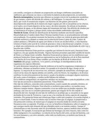 con semilla, consiguen su alimento en cooperación con hongos simbiontes (asociados en
simbiosis), que colonizan sus raíces y convierten la materia en descomposición, en nutrientes.
Bacteria metanogénica, bacterias que obtienen su energía a través de la producción metabólica
de gas metano, a partir del dióxido de carbono y del hidrógeno. La mayoría son anaerobias, es
decir, que viven en ausencia de oxígeno. Las bacterias de este género, provocan la
descomposición anaerobia de la materia de origen vegetal, por ello se encuentran en las charcas,
en el suelo y en el tracto digestivo de las vacas y de otros rumiantes. Se utilizan en las plantas
depuradoras de aguas, en las últimas etapas del tratamiento del lodo. Son difíciles de estudiar por
su intolerancia al oxígeno y porque tienen ciertas necesidades ambientales especiales.
Tinción de Gram, método de identificación de bacterias mediante una tinción específica.
Desarrollado por el médico danés Hans Christian Joachim Gram, es un procedimiento utilizado
universalmente. En un primer momento las bacterias se tiñen con violeta de genciana (derivado
metilado anilínico) y después se tratan con la solución de Gram (1 parte de yodo, 2 partes de
yoduro potásico y 300 partes de agua); por último se lavan con alcohol etílico, y unas bacterias
retienen el fuerte color azul de la violeta de genciana y otras se decoloran por completo. A veces
se añade una contratinción con fucsina o eosina para teñir las bacterias decoloradas de color rojo y
hacerlas más visibles.
Se denominan bacterias Gram positivas a aquellas que retienen la tinción azul y bacterias Gram
negativas a las que quedan decoloradas. Algunas bacterias presentan capacidad variable de tinción
de Gram y se llaman Gram variables. Bacterias Gram positivas típicas son los estafilococos que
producen forúnculos; Gram negativas representativas son la Escherichia coli de la flora intestinal
o los bacilos de la tos ferina; Gram variables son los bacilos de Koch de la tuberculosis.
Simbiosis (del griego, symbioun, 'vivir juntos'), en biología, la interdependencia de dos
organismos de especies diferentes.
Se suele denominar mutualismo al tipo de simbiosis en la cual los organismos cooperantes, o
simbiontes, obtienen un beneficio mutuo. Un ejemplo es la relación de alga y hongo en los
líquenes. La mayoría de las micorrizas son, asimismo, ejemplos de mutualismo; son hongos que
crecen en las raíces de algunas plantas con semilla, como los brezos, las orquídeas y en diversas
coníferas. La micorriza penetra en las raíces y ayuda a las plantas a conseguir algunos nutrientes
del suelo, como el nitrógeno; a cambio recibe hidratos de carbono.
En la simbiosis antagonística, un organismo satisface sus necesidades a costa de perjudicar a otro.
Este tipo de asociación se denomina parasitismo. Véase Parásito.
Otro tipo de simbiosis, conocida como comensalismo, ocurre cuando dos animales distintos, no
parásitos, comparten el alimento. Esta relación es inofensiva para ambos y en muchos casos
obtienen ventajas mutuas. Algunos comensales viven tan unidos que no pueden separarse. Sin
embargo, este caso no se considera parasitismo, puesto que ninguno de los dos impide el
desarrollo del otro. Ejemplo de este tipo de simbiosis es un pólipo que se encuentra en las aguas
profundas de la costa de Terranova, y que se une a las conchas de ciertas especies de cangrejos
ermitaños. Por gemación forma una colonia que llega a cubrir por completo a la concha original, a
la que va disolviendo. Como la colonia crece al mismo ritmo que el cangrejo, le proporciona a
éste protección continua, de manera que el cangrejo no necesita mudar de concha con tanta
frecuencia como se esperaría. El pólipo, a su vez, se beneficia al desplazarse sobre el cangrejo, ya
que consigue mucho más alimento del que obtendría sujeto a un sustrato estático. Aunque el
comensalismo es más frecuente entre los invertebrados marinos, aparece también entre animales
terrestres. Por ejemplo, la asociación que forman las hormigas con otros insectos, tales como los
áfidos (pulgones) y los escarabajos. La relación de los bacilos del colon, un tipo de bacterias, con
los seres humanos y con otros animales, sobre todo con herbívoros, es también una forma de
comensalismo.
 