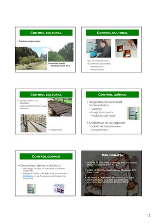12
Severidad puede
disminuir hasta 75 %
Control cultural
Cortinas rompe viento
Control cultural
•Uso de material sano
•Tratamiento de semillas
•desinfección
•termoterapia
• Sustrato estéril o no
infestado
• Evitar contaminar con suelo
infestado
Control cultural
• Solarización
• Fungicidas con actividad
bacteriostática:
– Cúpricos
– Fungicidas con zinc
– Productos con Yodo
• Antibióticos de uso agrícola:
– Sulfato de Estreptomicina
– Kasugamicina
Control químico
• Desventajas de los antibióticos
– Alto riesgo de que las bacterias se vuelvan
resistentes
– Riesgos a la salud del aplicador y consumidor
– Prohibidos en los Programas de Producción
Integrada
Control químico
• AGRIOS, G. 2005. Plant pathology. 5nd. ed. London,
Elsevier Academic Press. 922 p.
• KADO, C. 2010.Plant bacteriology. Minessota, APS
Press. 336 p.
• TRIGIANO, R.; WINDHAM, M.; WINDHAM, A. 2008.
Plant pathology, concepts and laboratory
exercises. 2nd. ed. Florida, RC Press. 558 p.
Bibliografía
 