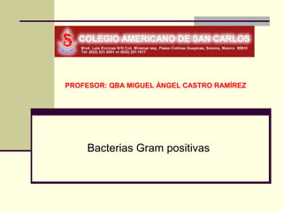 PROFESOR: QBA MIGUEL ÁNGEL CASTRO RAMÍREZ




     Bacterias Gram positivas
 