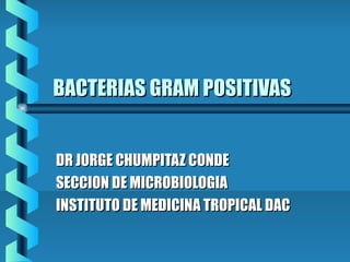 BACTERIAS GRAM POSITIVASBACTERIAS GRAM POSITIVAS
DR JORGE CHUMPITAZ CONDEDR JORGE CHUMPITAZ CONDE
SECCION DE MICROBIOLOGIASECCION DE MICROBIOLOGIA
INSTITUTO DE MEDICINA TROPICAL DACINSTITUTO DE MEDICINA TROPICAL DAC
 