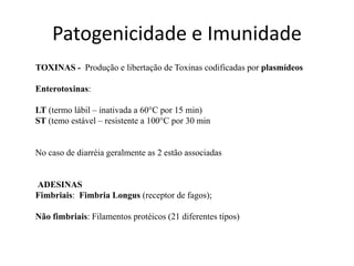 Patogenicidade e Imunidade
TOXINAS - Produção e libertação de Toxinas codificadas por plasmídeos
Enterotoxinas:
LT (termo lábil – inativada a 60°C por 15 min)
ST (temo estável – resistente a 100°C por 30 min
No caso de diarréia geralmente as 2 estão associadas
ADESINAS
Fimbriais: Fimbria Longus (receptor de fagos);
Não fimbriais: Filamentos protéicos (21 diferentes tipos)
 