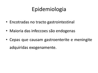 Epidemiologia
• Encotradas no tracto gastrointestinal
• Maioria das infeccoes são endogenas
• Cepas que causam gastroenterite e meningite
adquiridas exogenamente.
 