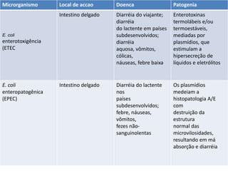 Microrganismo Local de accao Doenca Patogenia
E. coli
enterotoxigência
(ETEC
Intestino delgado Diarréia do viajante;
diarréia
do lactente em países
subdesenvolvidos;
diarréia
aquosa, vômitos,
cólicas,
náuseas, febre baixa
Enterotoxinas
termolábeis e/ou
termoestáveis,
mediadas por
plasmídios, que
estimulam a
hipersecreção de
líquidos e eletrólitos
E. coli
enteropatogênica
(EPEC)
Intestino delgado Diarréia do lactente
nos
países
subdesenvolvidos;
febre, náuseas,
vômitos,
fezes não-
sanguinolentas
Os plasmídios
medeiam a
histopatologia A/E
com
destruição da
estrutura
normal das
microvilosidades,
resultando em má
absorção e diarréia
 