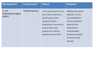 Microrganismo Local de accao Doenca Patogenia
E. coli
ênterohemorrágica
(EHEC)
Intestino grosso Colite hemorrágica (HC) com
graves cólicas abdominais,
diarréia aquosa inicial,
seguida por diarréia
sanguinolenta, com pouca ou
nenhuma febre; pode
progredir para síndrome
hemolítica urêmica (HUS
Mediada pelas toxinas
Shiga (Stx-1, Stx-2),
com paralisação da
síntese de proteínas;
lesões A/E com
destruição das
microvilosidades
intestinais resultando
em decréscimo da
absorção.
 