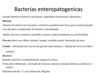 Bacterias enteropatogenicas
Causam diarréia no homem e em animais. Importantes em diarréias e disenterias.
Diarréia
Aumento do número de evacuações e perda de consistência das fezes, que se tornam aguadas.
Uma das piores complicações da diarréia é a desidratação.
Adultos são mais resistentes, mas bebês, crianças e idosos desidratam-se com facilidade.
Provoca: Boca seca, lábios rachados, letargia, confusão mental, diminuição da urina
Causas: - diminuição das reservas de água do corpo humano e redução dos níveis de sódio e
potássio.
Disenteria
Quando a diarréia é acompanhada por sangue e/ou muco.
Fortes dores abdominais, ulceração das mucosas, tenesmo (sensação dolorosa ao defecar ou
urinar).
Desenteria bacilar: E. coli, Salmonella, Shigella
 