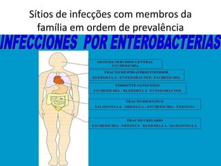 Sítios de infecções com membros da
família em ordem de prevalência
 