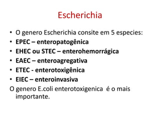Escherichia
• O genero Escherichia consite em 5 especies:
• EPEC – enteropatogênica
• EHEC ou STEC – enterohemorrágica
• EAEC – enteroagregativa
• ETEC - enterotoxigênica
• EIEC – enteroinvasiva
O genero E.coli enterotoxigenica é o mais
importante.
 