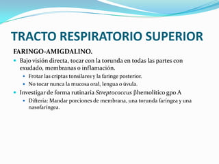 TRACTO RESPIRATORIO SUPERIOR
FARINGO-AMIGDALINO.
 Bajo visión directa, tocar con la torunda en todas las partes con
  exudado, membranas o inflamación.
    Frotar las criptas tonsilares y la faringe posterior.
    No tocar nunca la mucosa oral, lengua o úvula.
 Investigar de forma rutinaria Streptococcus hemolítico gpo A
    Difteria: Mandar porciones de membrana, una torunda faríngea y una
      nasofaríngea.
 