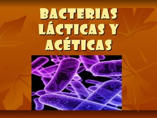 BacteriasBacterias
lácticas ylácticas y
acéticasacéticas
 