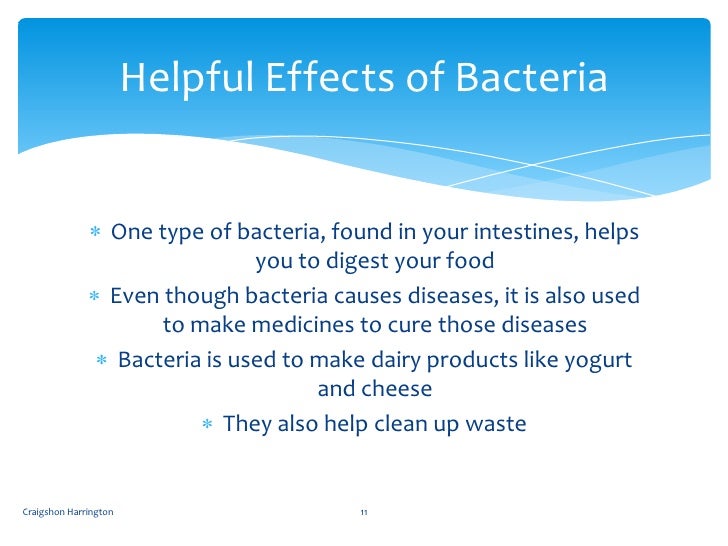 bacteria friend or foe The main idea of the article, friend or foe is to inform the general public that bacteria are not always harmful for example in the article it said (in a mutualism relationship, both the bacteria and the host receive their benefits bacteria friend or foe. bacteria friend or foe The main idea of the article, friend or foe is to inform the general public that bacteria are not always harmful for example in the article it said (in a mutualism relationship, both the bacteria and the host receive their benefits bacteria friend or foe.