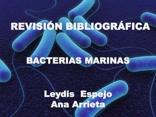 Bacterias marinas