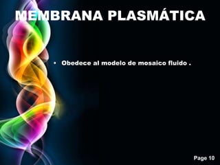 Page 10
MEMBRANA PLASMÁTICA
• Obedece al modelo de mosaico fluido .
 