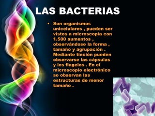 Page 3
LAS BACTERIAS
• Son organismos
unicelulares , pueden ser
vistos a microscopia con
1.500 aumentos ,
observándose la forma ,
tamaño y agrupación .
Mediante tinción pueden
observarse las cápsulas
y los flagelos . En el
microscopio electrónico
se observan las
estructuras de menor
tamaño .
 