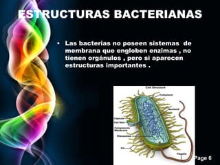 Page 6
ESTRUCTURAS BACTERIANAS
• Las bacterias no poseen sistemas de
membrana que engloben enzimas , no
tienen orgánulos , pero si aparecen
estructuras importantes .
 
