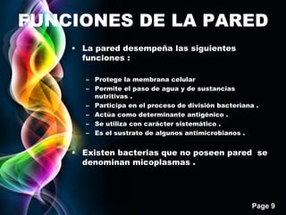 Page 9
FUNCIONES DE LA PARED
• La pared desempeña las siguientes
funciones :
– Protege la membrana celular
– Permite el paso de agua y de sustancias
nutritivas .
– Participa en el proceso de división bacteriana .
– Actúa como determinante antigénico .
– Se utiliza con carácter sistemático .
– Es el sustrato de algunos antimicrobianos .
• Existen bacterias que no poseen pared se
denominan micoplasmas .
 