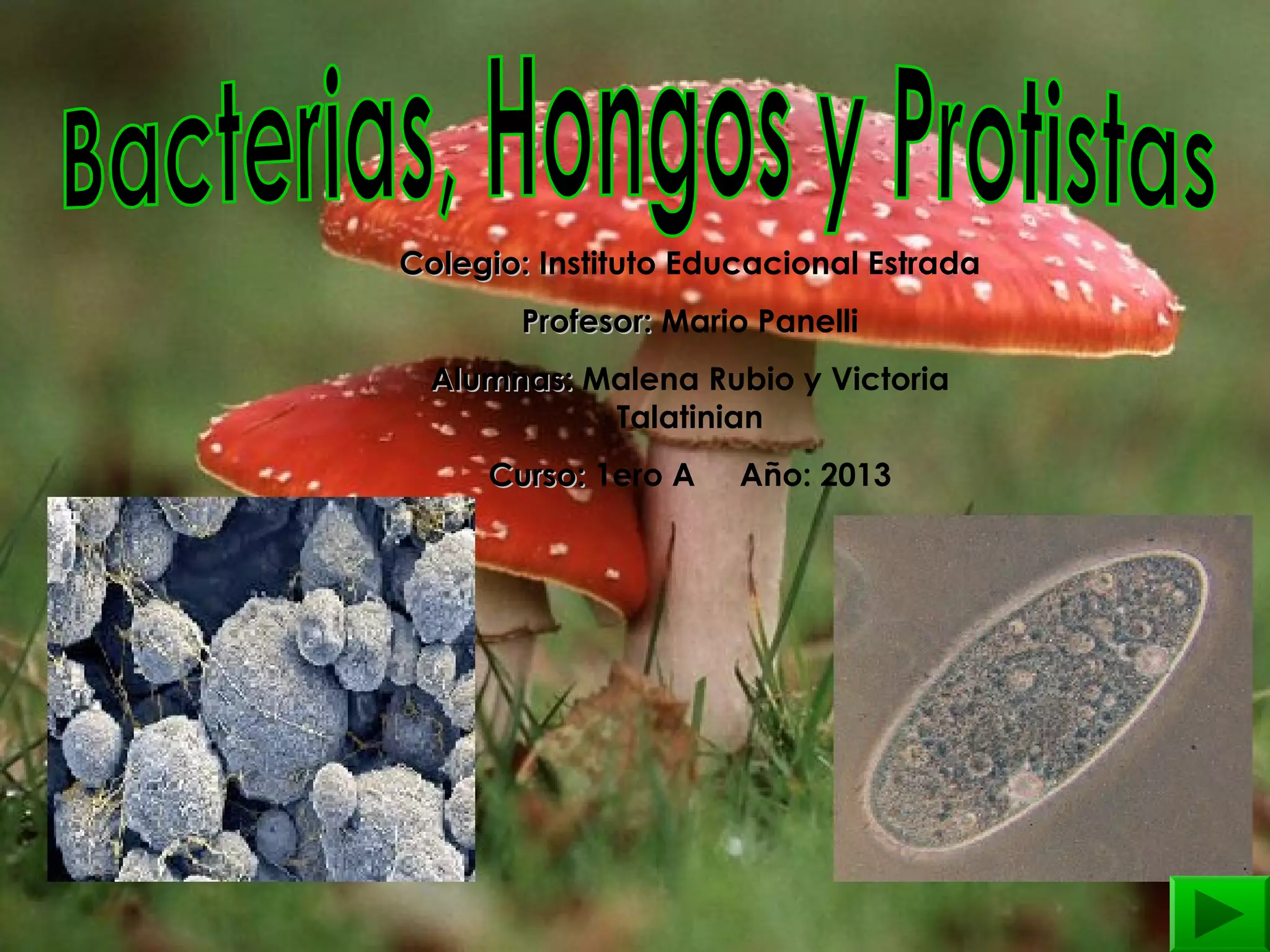 Bacterias protistas hongos | PPT