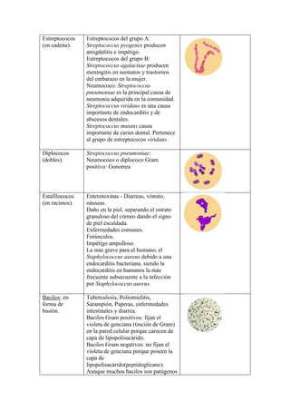 Estreptococos   Estreptococos del grupo A:
(en cadena).    Streptococcus pyogenes producen
                amigdalitis e impétigo.
                Estreptococos del grupo B:
                Streptococcus agalactiae producen
                meningitis en neonatos y trastornos
                del embarazo en la mujer.
                Neumococo: Streptococcus
                pneumoniae es la principal causa de
                neumonía adquirida en la comunidad.
                Streptococcus viridans es una causa
                importante de endocarditis y de
                abscesos dentales.
                Streptococcus mutans causa
                importante de caries dental. Pertenece
                al grupo de estreptococos viridans.

Diplococos      Streptococcus pneumoniae:
(dobles).       Neumococo o diplococo Gram
                positivo: Gonorrea




Estafilococos   Enterotoxinas - Diarreas, vómito,
(en racimos).   náuseas.
                Daño en la piel, separando el estrato
                granuloso del córneo dando el signo
                de piel escaldada.
                Enfermedades comunes.
                Forúnculos.
                Impétigo ampolloso.
                La más grave para el humano, el
                Staphylococcus aureus debido a una
                endocarditis bacteriana, siendo la
                endocarditis en humanos la más
                frecuente subsecuente a la infección
                por Staphylococcus aureus.

Bacilos: en     Tuberculosis, Poliomielitis,
forma de        Sarampión, Paperas, enfermedades
bastón.         intestinales y diarrea.
                Bacilos Gram positivos: fijan el
                violeta de genciana (tinción de Gram)
                en la pared celular porque carecen de
                capa de lipopolisacárido.
                Bacilos Gram negativos: no fijan el
                violeta de genciana porque poseen la
                capa de
                lipopolisacárido(peptidoglicano).
                Aunque muchos bacilos son patógenos
 