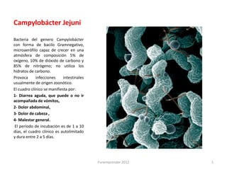 Campylobácter Jejuni

Bacteria del genero Campylobácter
con forma de bacilo Gramnegativo,
microaerófilo capaz de crecer en una
atmósfera de composición 5% de
oxígeno, 10% de dióxido de carbono y
85% de nitrógeno; no utiliza los
hidratos de carbono.
Provoca      infecciones     intestinales
usualmente de origen zoonótico.
El cuadro clínico se manifiesta por:
1- Diarrea aguda, que puede o no ir
acompañada de vómitos,
2- Dolor abdominal,
3- Dolor de cabeza ,
4- Malestar general.
 El período de incubación es de 1 a 10
días, el cuadro clínico es autolimitado
y dura entre 2 a 5 días.




                                            Funemprender 2012   1
 