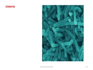 Listeria




           Funemprender 2012   10
 