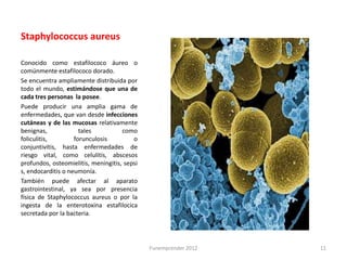 Staphylococcus aureus

Conocido como estafilococo áureo o
comúnmente estafilococo dorado.
Se encuentra ampliamente distribuida por
todo el mundo, estimándose que una de
cada tres personas la posee.
Puede producir una amplia gama de
enfermedades, que van desde infecciones
cutáneas y de las mucosas relativamente
benignas,             tales          como
foliculitis,        forunculosis         o
conjuntivitis, hasta enfermedades de
riesgo vital, como celulitis, abscesos
profundos, osteomielitis, meningitis, sepsi
s, endocarditis o neumonía.
También puede afectar al aparato
gastrointestinal, ya sea por presencia
física de Staphylococcus aureus o por la
ingesta de la enterotoxina estafilocica
secretada por la bacteria.




                                              Funemprender 2012   11
 