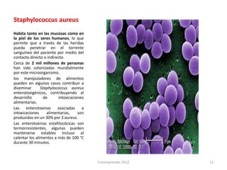 Staphylococcus aureus
Habita tanto en las mucosas como en
la piel de los seres humanos, lo que
permite que a través de las heridas
pueda penetrar en el torrente
sanguíneo del paciente por medio del
contacto directo o indirecto.
Cerca de 2 mil millones de personas
han sido colonizadas mundialmente
por este microorganismo.
los manipuladores de alimentos
pueden en algunos casos contribuir a
diseminar       Staphylococcus aureus
enterotoxigénicos, contribuyendo al
desarrollo        de      intoxicaciones
alimentarias.
Las    enterotoxinas     asociadas     a
intoxicaciones      alimentarias,    son
producidas en un 30% por S.aureus.
Las enterotoxinas estafilocócicas son
termorresistentes, algunas pueden
mantenerse estables incluso al
calentar los alimentos a más de 100 °C
durante 30 minutos.



                                           Funemprender 2012   12
 