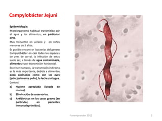 Campylobácter Jejuni
Epidemiología:
Microorganismo habitual transmitido por
el agua y los alimentos, en particular
aves.
Más frecuente en verano y en niños
menores de 5 años.
Es posible encontrar bacterias del genero
Campylobácter en casi todas las especies
de aves de corral, la infección de estas
suele ser, a través de agua contaminada,
alimentos y por transmisión horizontal.
En el ser humano, la transmisión indirecta
es la más importante, debida a alimentos
poco cocinados como son las aves
(principalmente pollo), la leche y el agua.
Control:
a) Higiene apropiada (lavado de
      manos).
b) Eliminación de reservorios.
c) Antibióticos en los casos graves (en
      particular,      en        pacientes
      inmunodeprimidos).


                                              Funemprender 2012   2
 