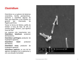 Clostridium

Clostridium es un género de bácterias
anaerobias, bacilos grampositivas,
parásitas y saprófitas algunas de
ellas, que esporulan, y son móviles, en
general      por      intermedio     de
flagelos peritricos.
Toman la forma de fósforo, palillo de
tambor o huso de hilar, de ahí su
nombre griego "Klostro", que significa
huso de hilar.
Las especies más importantes son:
Clostridium botulinum productor
del botulismo,
Clostridium perfringens productor de
la gangrena gaseosa,
Clostridium        tetani    productor
del tétanos,
Clostridium novyi, productor de
la gangrena gaseosa,
Clostridium septicum. es uno de los
agentes etiológicos de la septicemia y
con una elevada mortalidad.


                                          Funemprender 2012   3
 