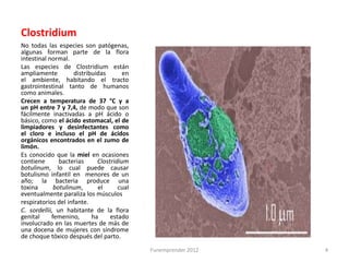 Clostridium
No todas las especies son patógenas,
algunas forman parte de la flora
intestinal normal.
Las especies de Clostridium están
ampliamente          distribuidas       en
el ambiente, habitando el tracto
gastrointestinal tanto de humanos
como animales.
Crecen a temperatura de 37 °C y a
un pH entre 7 y 7,4, de modo que son
fácilmente inactivadas a pH ácido o
básico, como el ácido estomacal, el de
limpiadores y desinfectantes como
el cloro e incluso el pH de ácidos
orgánicos encontrados en el zumo de
limón.
Es conocido que la miel en ocasiones
contiene       bacterias      Clostridium
botulinum, lo cual puede causar
botulismo infantil en menores de un
año; la bacteria produce una
toxina       botulinum,       el      cual
eventualmente paraliza los músculos
respiratorios del infante.
C. sordellii, un habitante de la flora
genital     femenino,       ha     estado
involucrado en las muertes de más de
una docena de mujeres con síndrome
de choque tóxico después del parto.
                                             Funemprender 2012   4
 