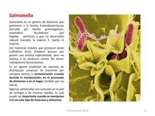 Salmonella
Salmonella es un género de bácterias que
pertenece a la familia Enterobacteriaceae
formado por bacilos gramnegativos,
anaerobios           facultativos        con
flagelos peritricos y que no desarrollan
cápsula (excepto la especie S. typhy) ni
esporas.
Son bácterias móviles que producen ácido
sulfhídrico (H2S). Emplean glucosa por
poseer una enzima especializada, pero no
lactosa, y no producen ureasa. No tienen
metabolismo fermentativos.
Es un agente productor de zoonosis de
distribución universal. Se transmite por
contacto directo o contaminación cruzada
durante la manipulación, en el procesado
de alimentos o en el hogar, también por vía
sexual.
Algunas salmonellas son comunes en la piel
de tortugas y de muchos reptiles, lo cual
puede ser importante cuando se manipulan
a la vez este tipo de mascotas y alimentos.


                                               Funemprender 2012   5
 