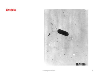 Listeria




           Funemprender 2012   9
 