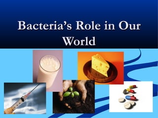 Bacteria’s Role in Our
        World
 