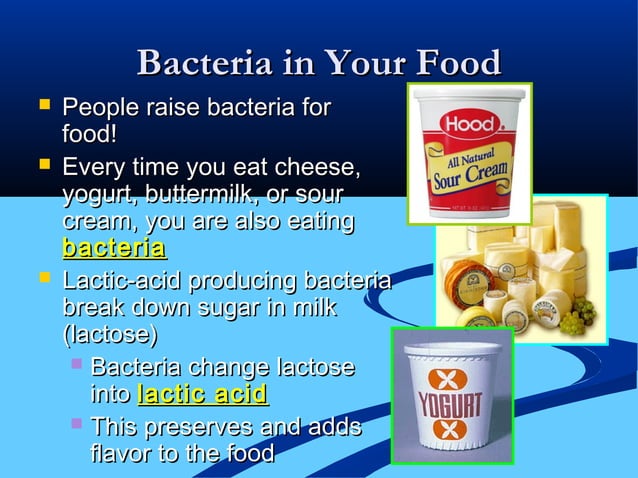 Bacteria s Role In Our World