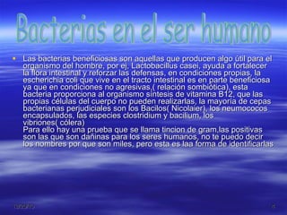 Las bacterias beneficiosas son aquellas que producen algo útil para el organismo del hombre, por ej, Lactobacillus casei, ayuda a fortalecer la flora intestinal y reforzar las defensas, en condiciones propias, la escherichia coli que vive en el tracto intestinal es en parte beneficiosa ya que en condiciones no agresivas,( relación sombiótica), esta bacteria proporciona al organismo síntesis de vitamina B12, que las propias células del cuerpo no pueden realizarlas, la mayoría de cepas bacterianas perjudiciales son los Bacilos( Nicolaier), los neumococos encapsulados, las especies clostridium y bacilium, los vibriones( cólera) Para ello hay una prueba que se llama tincion de gram,las positivas son las que son dañinas para los seres humanos, no te puedo decir los nombres por que son miles, pero esta es laa forma de identificarlas  Bacterias en el ser humano 