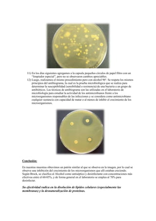 11) En los días siguientes agregamos a la capsula pequeños círculos de papel filtro con un
        “limpiador especial”, pero no se observaron cambios apreciables.
    12) Luego, realizamos el mismo procedimiento pero con alcohol 96º. Se respeta los mismos
        principios del antibiograma, la cual es la prueba microbiológica que se realiza para
        determinar la susceptibilidad (sensibilidad o resistencia) de una bacteria a un grupo de
        antibióticos. Las técnicas de antibiograma son las utilizadas en el laboratorio de
        microbiología para estudiar la actividad de los antimicrobianos frente a los
        microorganismos responsables de las infecciones y se considera como antimicrobiano
        cualquier sustancia con capacidad de matar o al menos de inhibir el crecimiento de los
        microorganismos.




Conclusión:

En nuestras muestras obtuvimos un patrón similar al que se observa en la imagen, por lo cual se
observa una inhibición del crecimiento de los microorganismos que allí estaban creciendo.
Según Brock, se clasifica al Alcohol como antiséptico y desinfectante con concentraciones más
efectivas entre el 60-85%, y de forma general en el laboratorio se emplea al 70% para
desinfectar.

Su efectividad radica en la disolución de lípidos celulares (especialmente las
membranas) y la desnaturalización de proteínas.
 