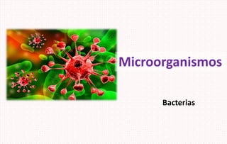 Bacterias
Microorganismos
 